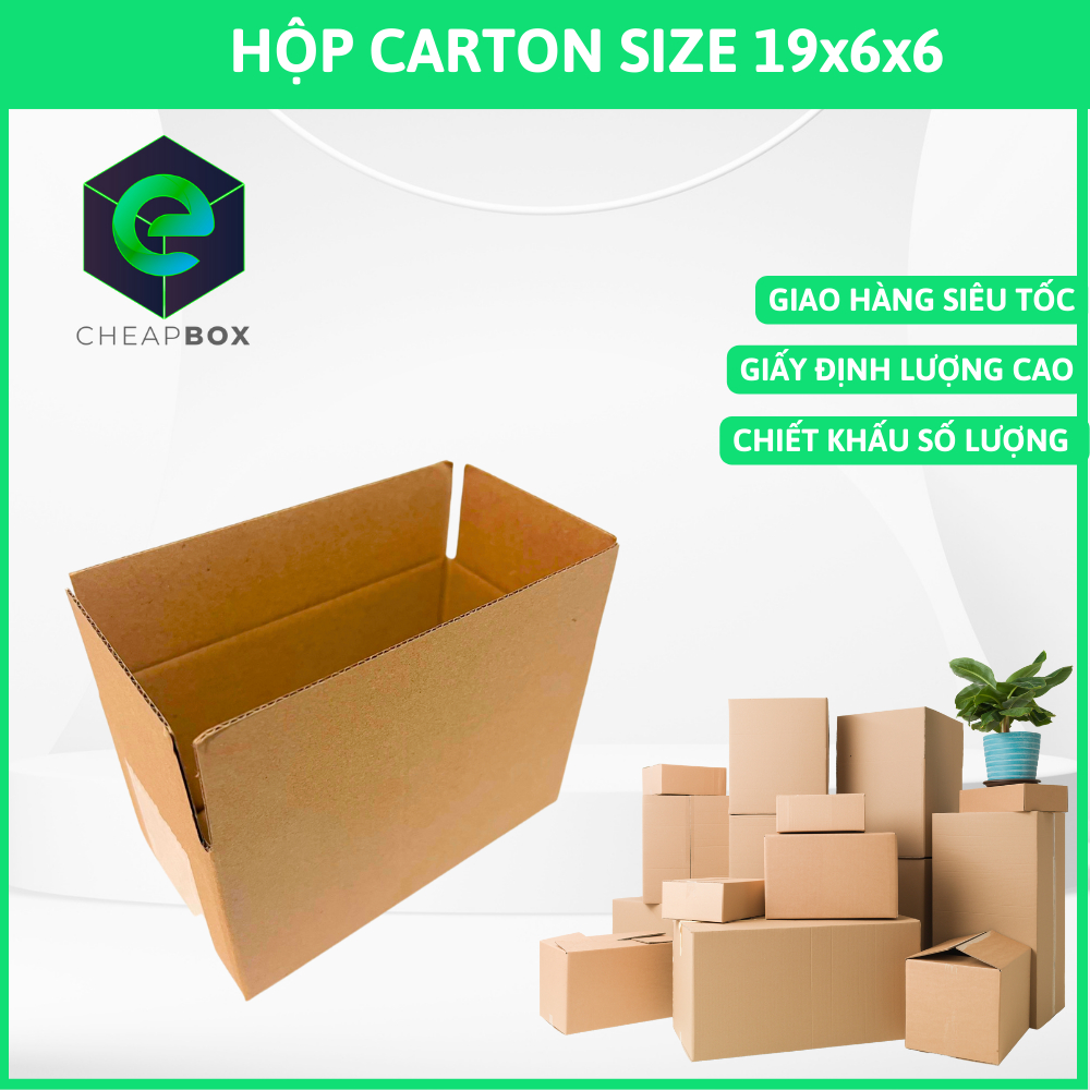 100 Hộp carton size 19x6x6