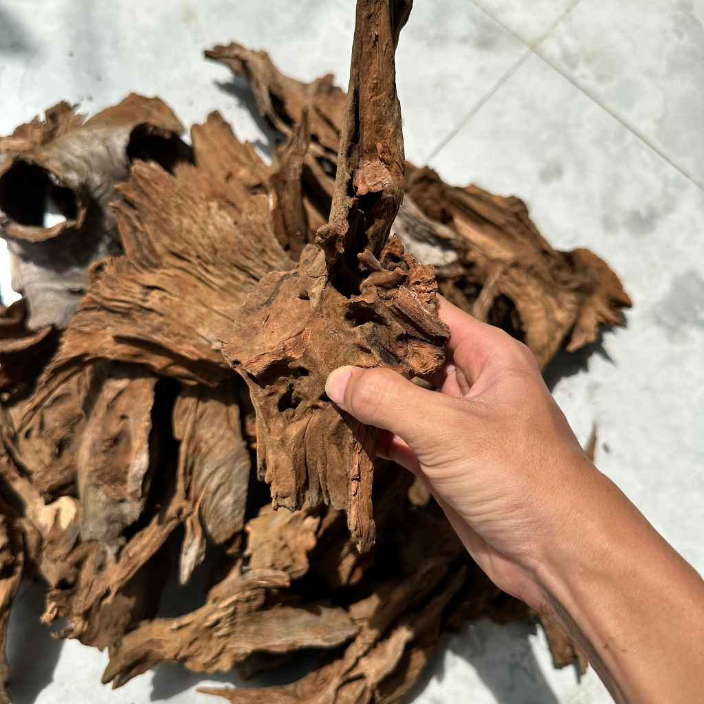 Lũa trang trí thủy sinh 1kg