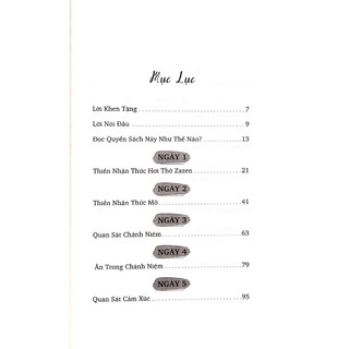 Sách 10 Ngày Hành Thiền - VLB
