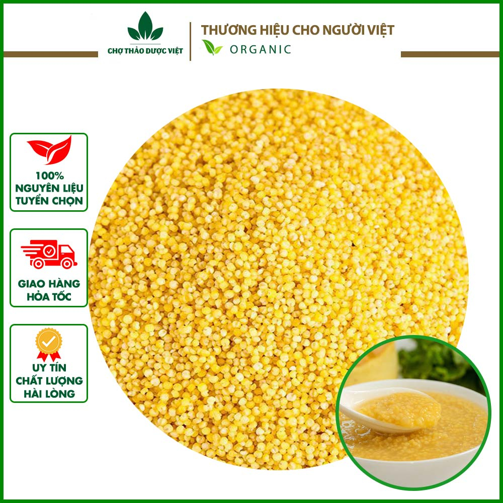 100g Hạt kê nếp vàng hữu cơ, hạt kê đã tách vỏ - Chợ Thảo Dược Việt
