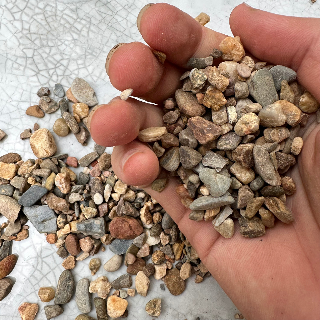 Sạn suối trải nền, trang trí thủy sinh 1kg