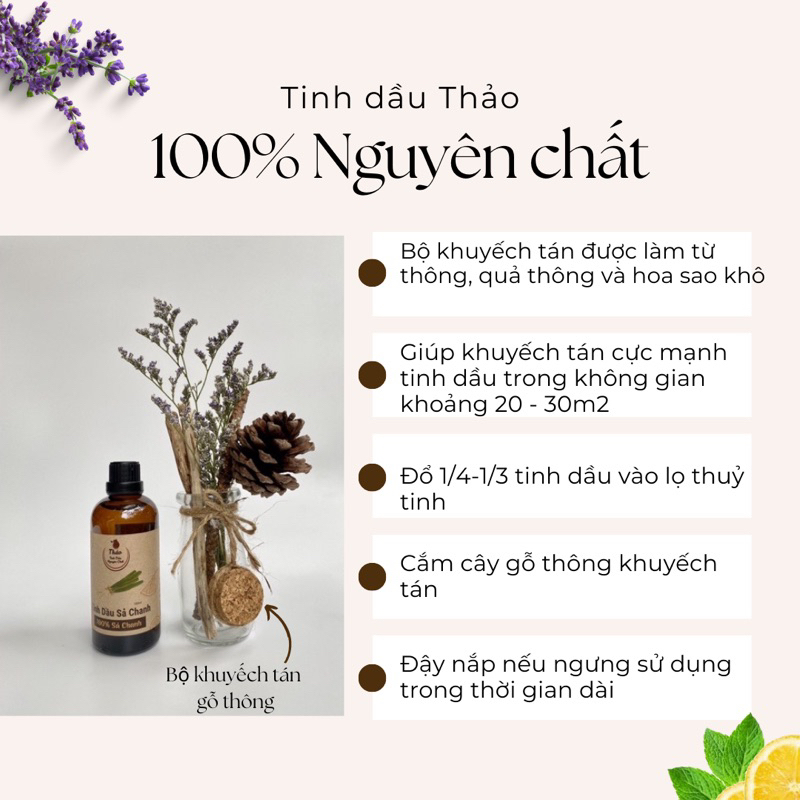 BỘ KHUYẾCH TÁN TINH DẦU TỪ THÔNG ĐÀ LẠT