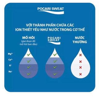 Pocari lốc 6 chai 500ml