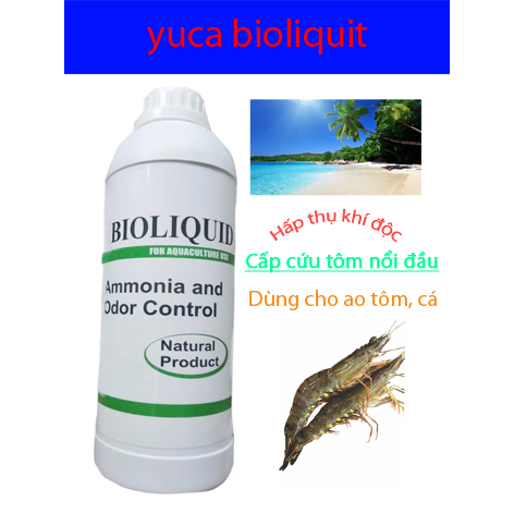 yuca bioliquit hấp thụ khí độc nhanh và hiệu quả, kiểm soát khí độc đáy ao.