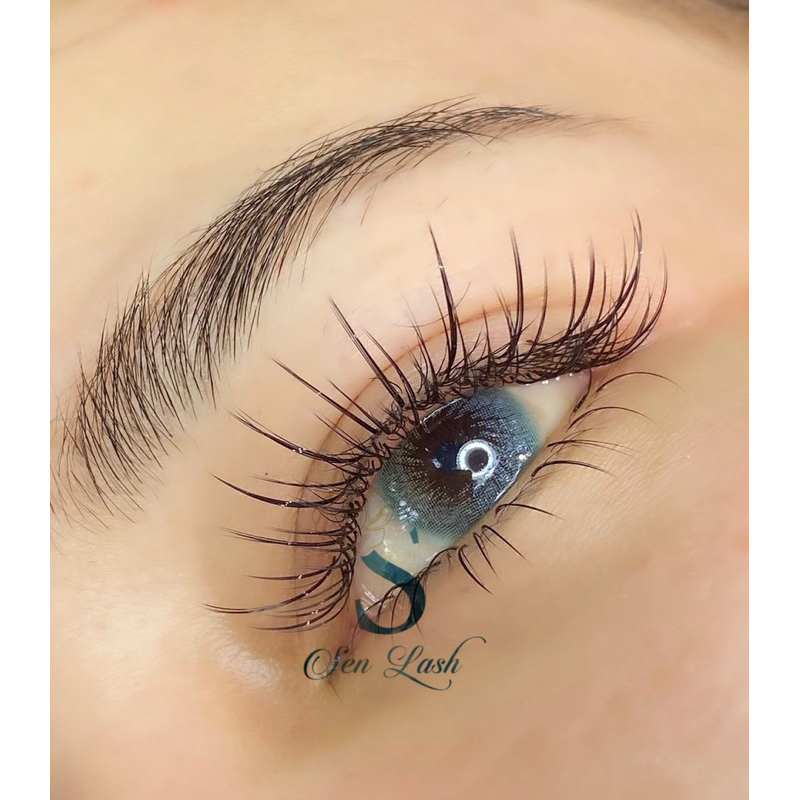 Mi khay Sen Lash độ cong CC lẻ size