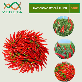 HẠT GIỐNG ỚT CHỈ THIÊN 0,1gr - VEGETASHOP - HẠT GIỐNG NẢY MẦM TỐT, NĂNG SUẤT CAO