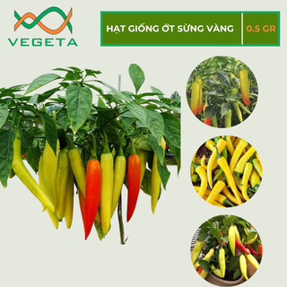 Hạt giống ớt sừng vàng 0.5gr - vegetashop - hạt giống nảy mầm tốt, năng suất cao