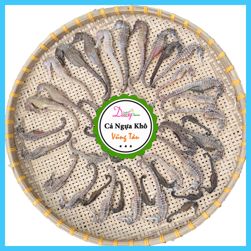 Cá Ngựa Khô Vũng Tàu Size ĐẠI 16 - 20 Cm  do Tàu Cá Nhà Mình Đánh Bắt