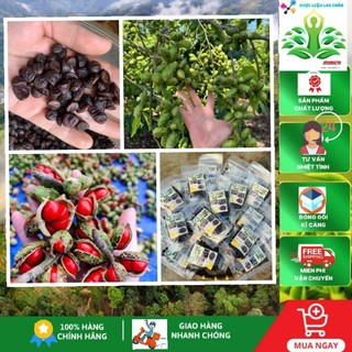 10 Hạt dổi nếp rừng giá dùng thử