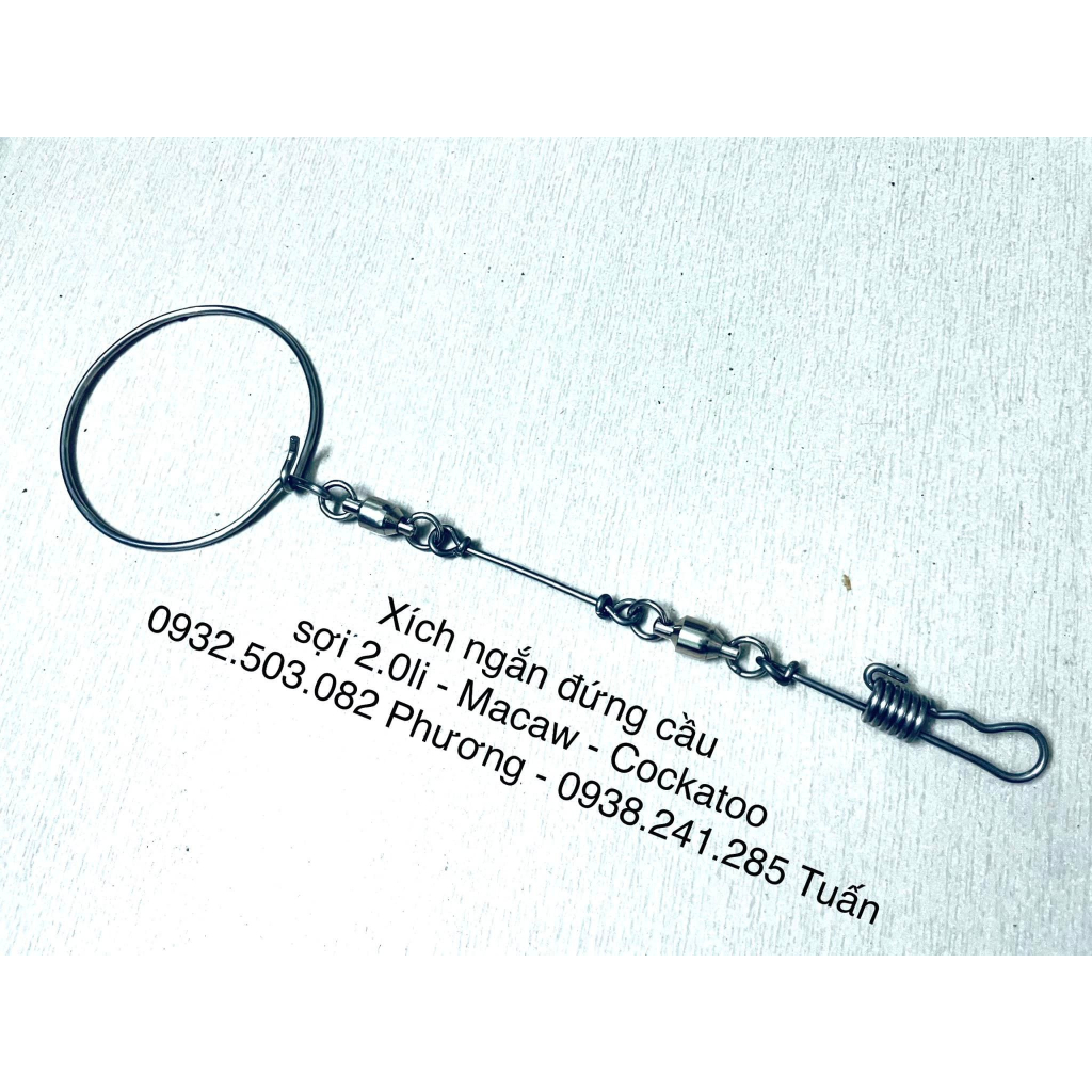 Xích chân Vẹt Macaw - Cockatoo mẫu mới