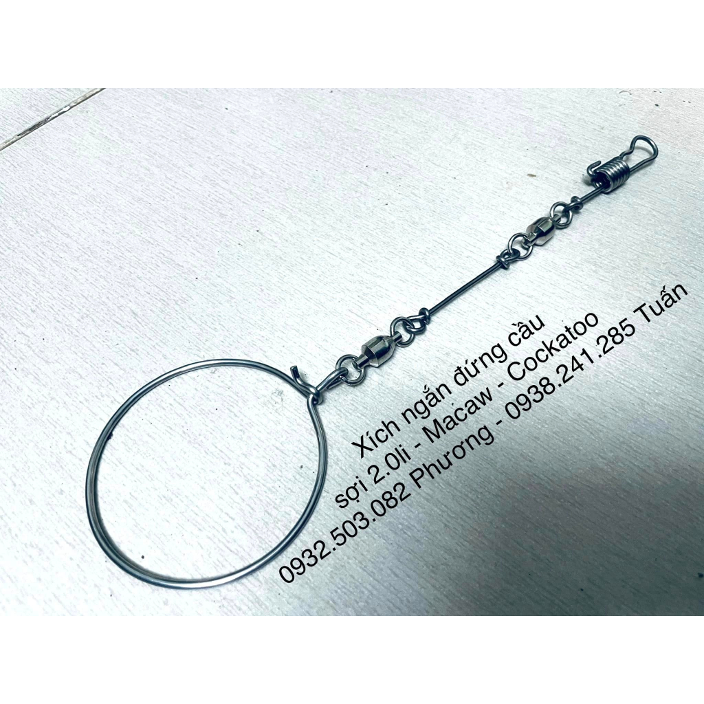 Xích chân Vẹt Macaw - Cockatoo mẫu mới