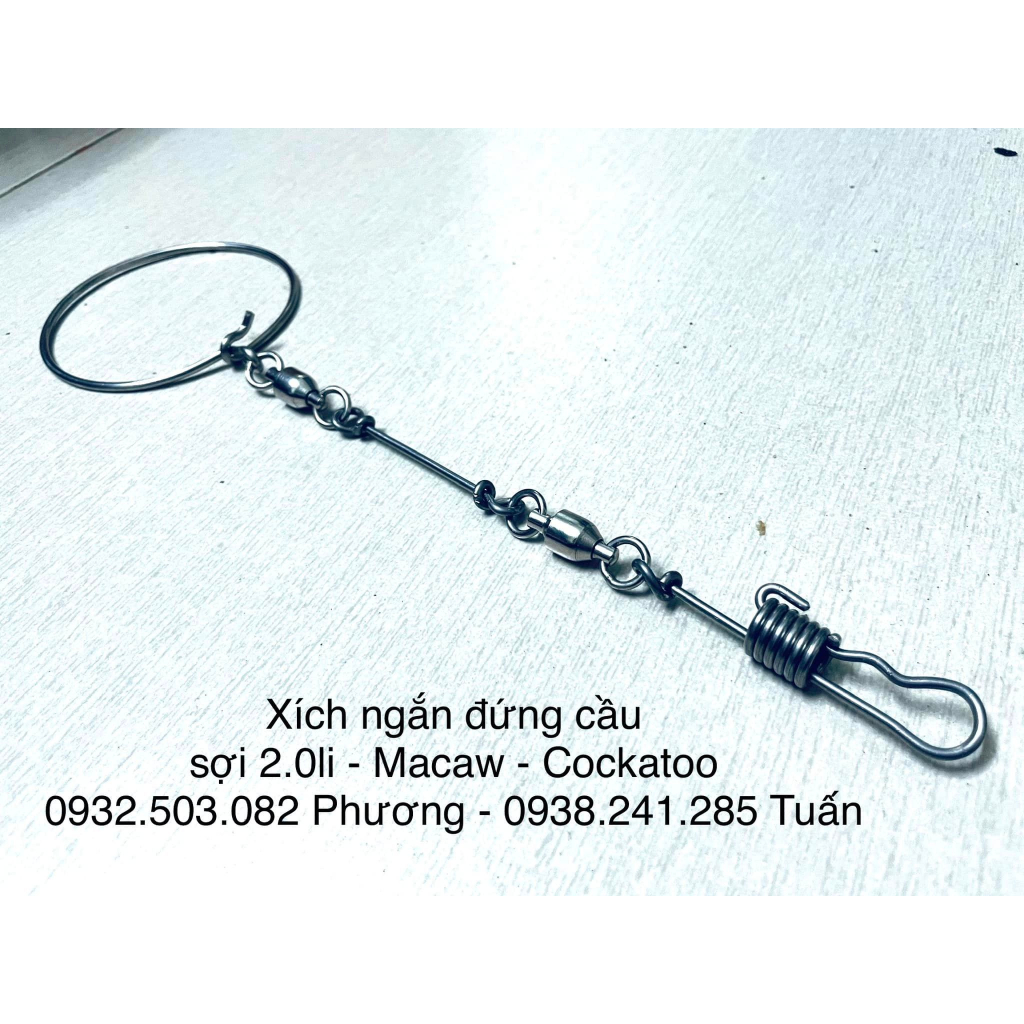 Xích chân Vẹt Macaw - Cockatoo mẫu mới