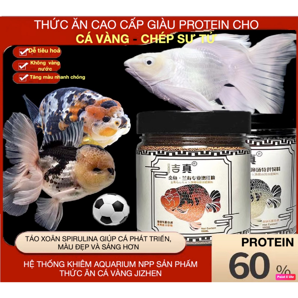 Cám JIZHEN >54% đạm giúp cá vàng tăng body, tăng màu, lên đầu phát triển hệ khung xương.