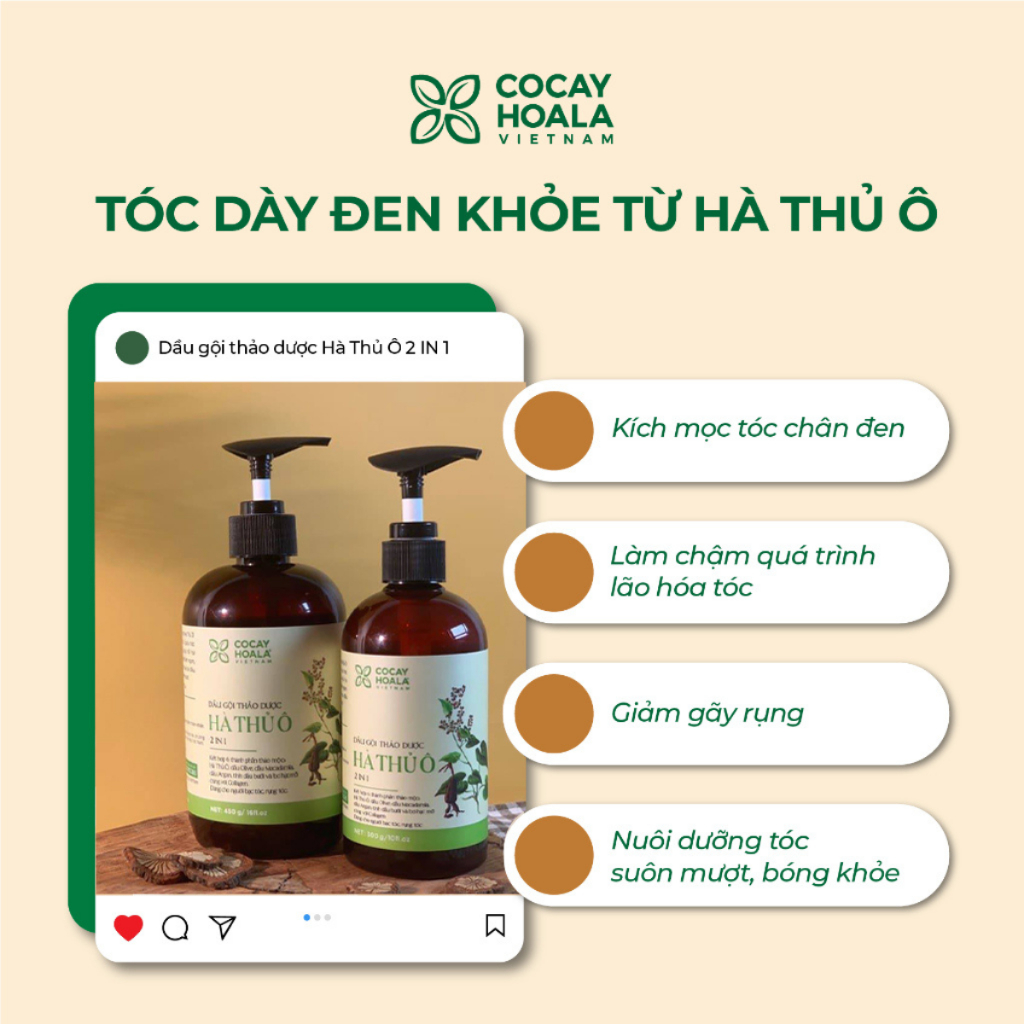 Dầu gội đen tóc mọc tóc Hà Thủ Ô 2in1 dầu gội thảo dược cỏ cây hoa lá giảm rụng tóc bạc tóc chai 300g 450g Cocayhoala