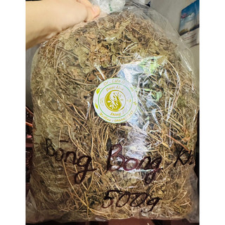 Cây Bòng Bong khô loại 1
