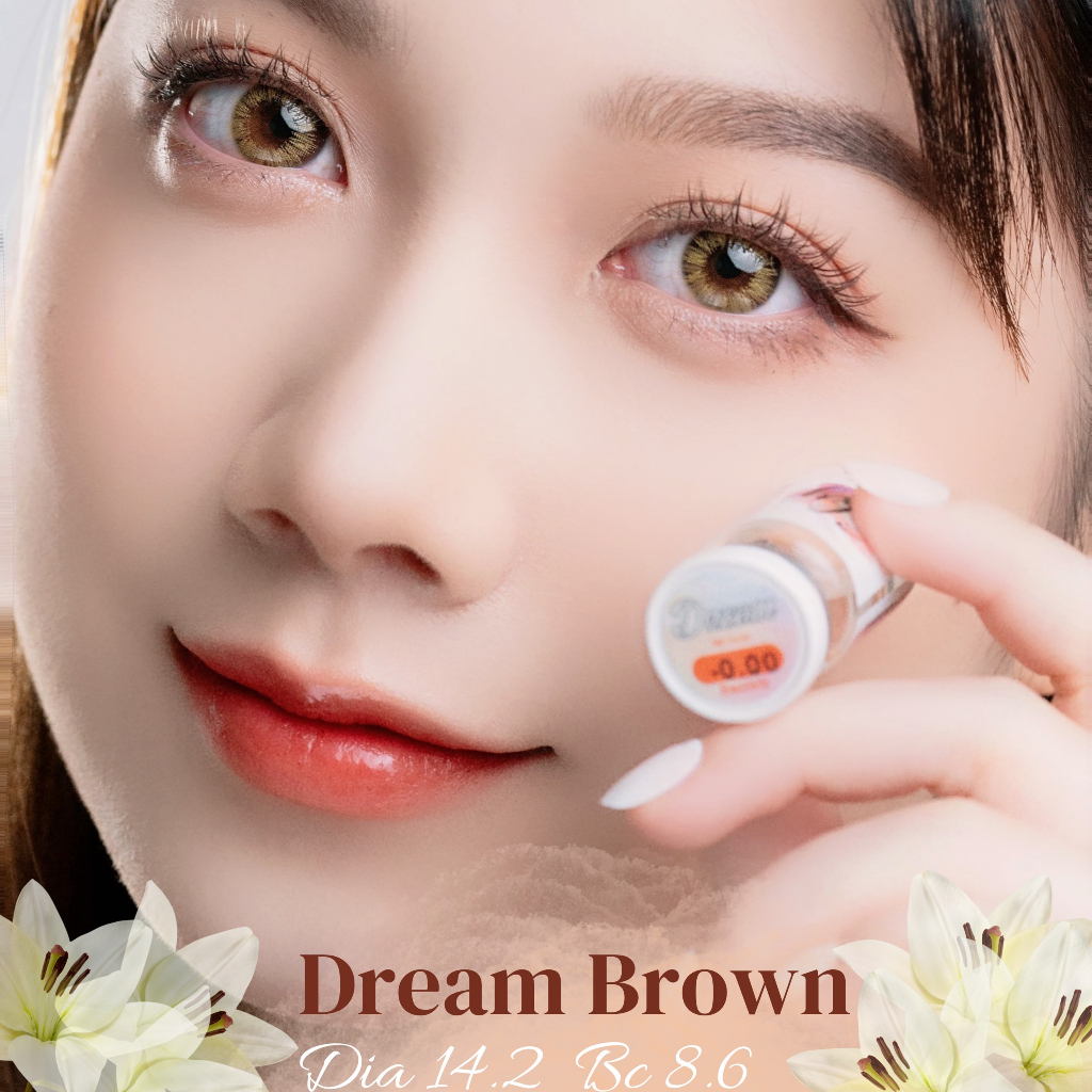 Sky Lens Korea- Dream Brown Dia 14.2 Bc 8.6
