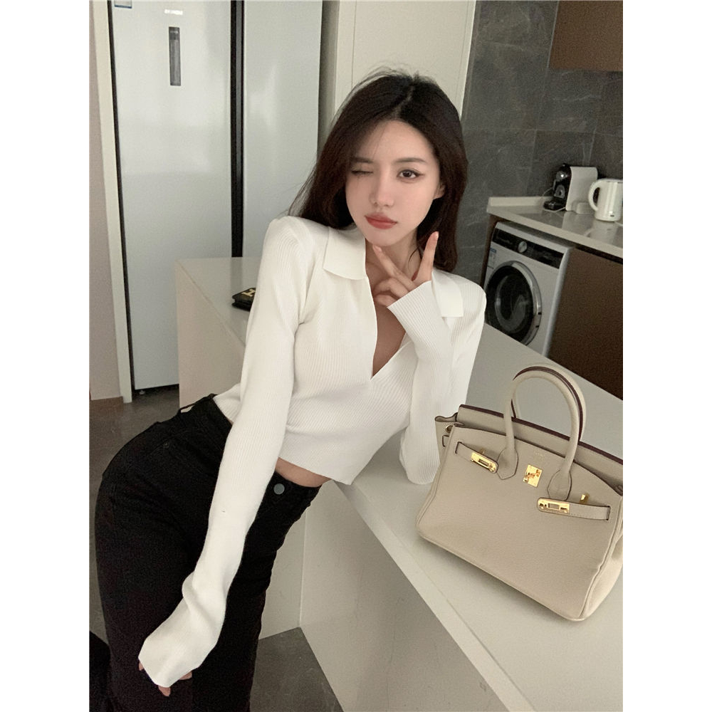 Áo Len Dài Tay Thu Đông Áo Thun Len Tăm Quảng Châu Dáng Croptop Dài Phong Cách Hàn Quốc LIZ-A341.1 | BigBuy360 - bigbuy360.vn