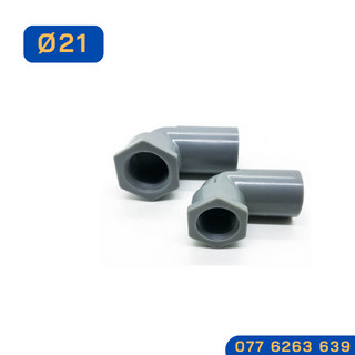 Co ren trong phi 21