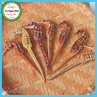 Set 10 con cá ngựa khô vũng tàu size nhỏ từ 5 đến 9 cm