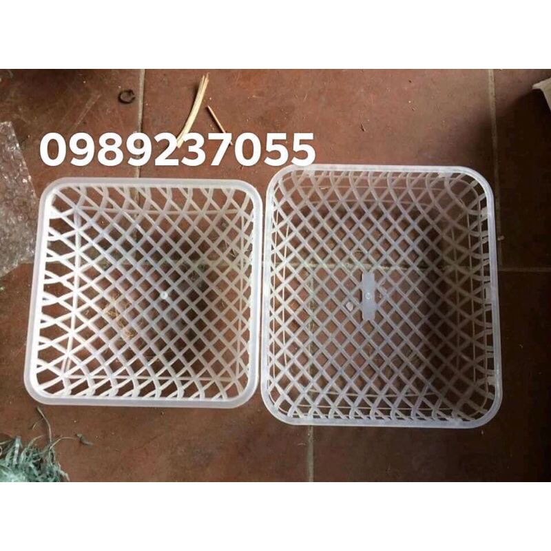 RỔ ĐẺ CHO CHIM BỒ CÂU 20x20 NHỰA Nguyên sinh