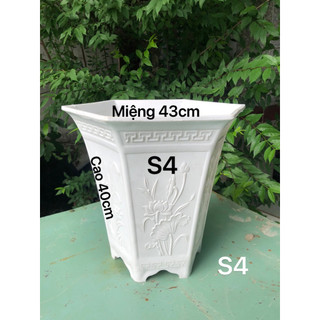 Chậu nhựa lục giác cao s4 trồng cây màu trắng