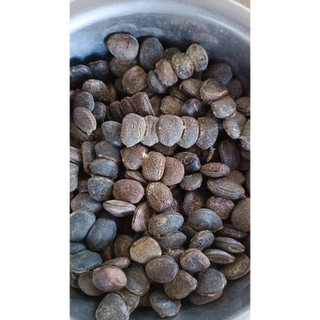 1kg Hạt giống lim xanh