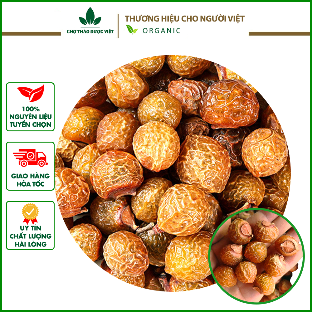 Qủa bồ hòn tách hạt 100g, cùi dày, nhiều mật, quả già, dùng làm xà phòng, nước rửa bát