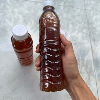 Nước lá bàng cho cá cảnh, thủy sinh
