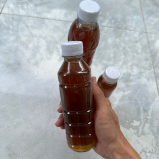 Nước lá bàng cho cá cảnh, thủy sinh