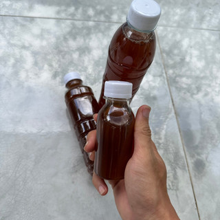 Nước lá bàng cho cá cảnh, thủy sinh