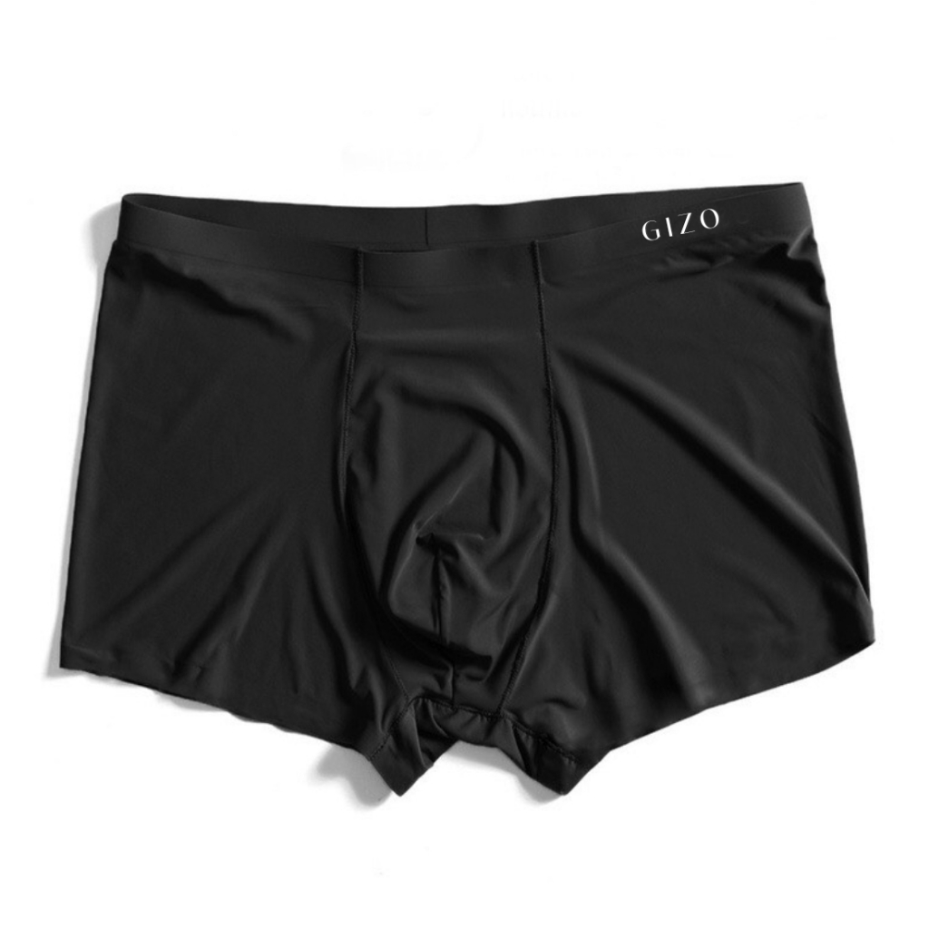Combo quần sịp nam tam giác thun lạnh không đường may TL01A