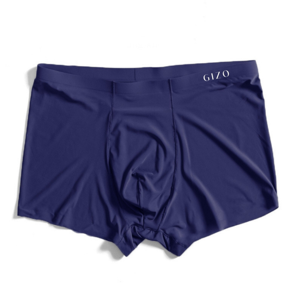 Combo quần sịp nam tam giác thun lạnh không đường may TL01A