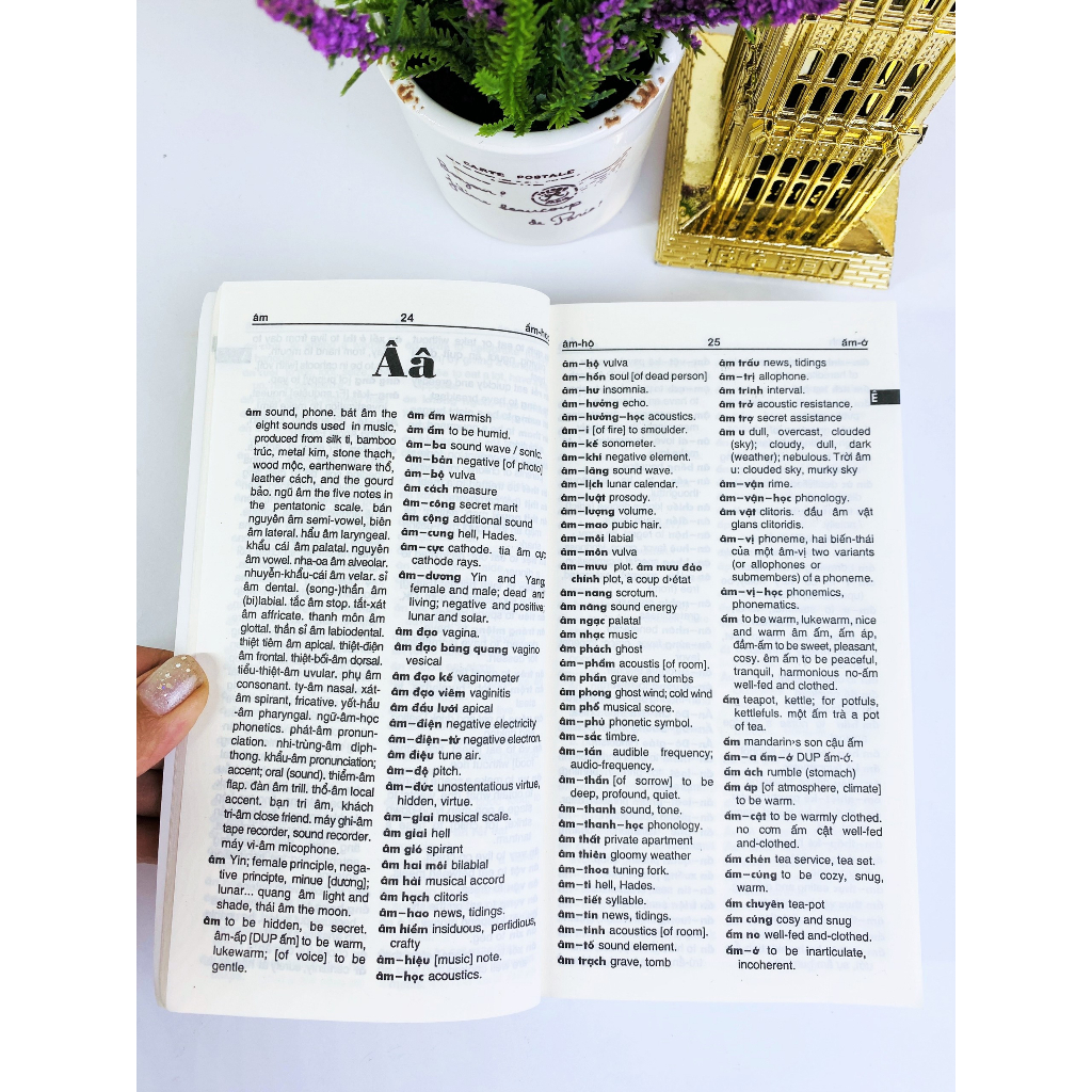 Sách - Từ Điển Việt - Anh