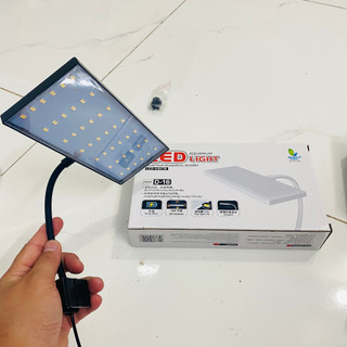Đèn led đỏ cá không đỏ nước jeneca d16 - ánh sáng hoàn hảo đỏ cá cho bể cá thủy sinh giá rẻ