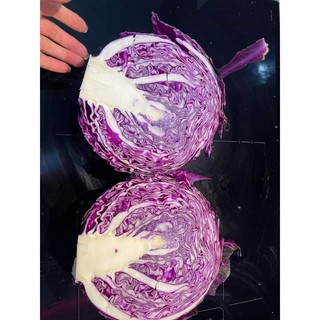 Hạt giống bắp cải tím (date t7/2025)