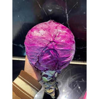 Hạt giống bắp cải tím (date t7/2025)