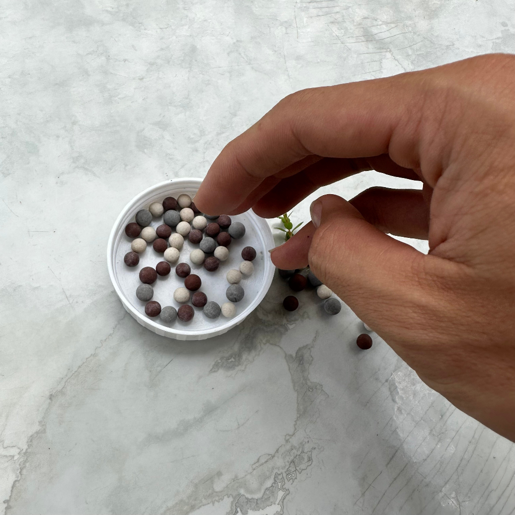 Khoáng tép cảnh Beeball