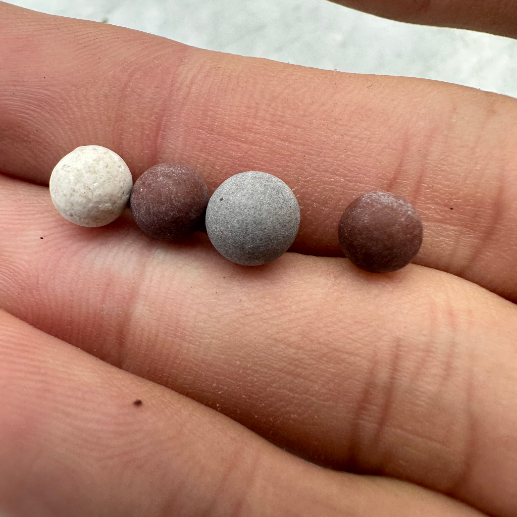 Khoáng tép cảnh Beeball