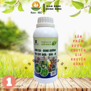 Đạm cá hữu cơ, phân bón dưa bầu bí, rau màu, đạm cá cô đặc