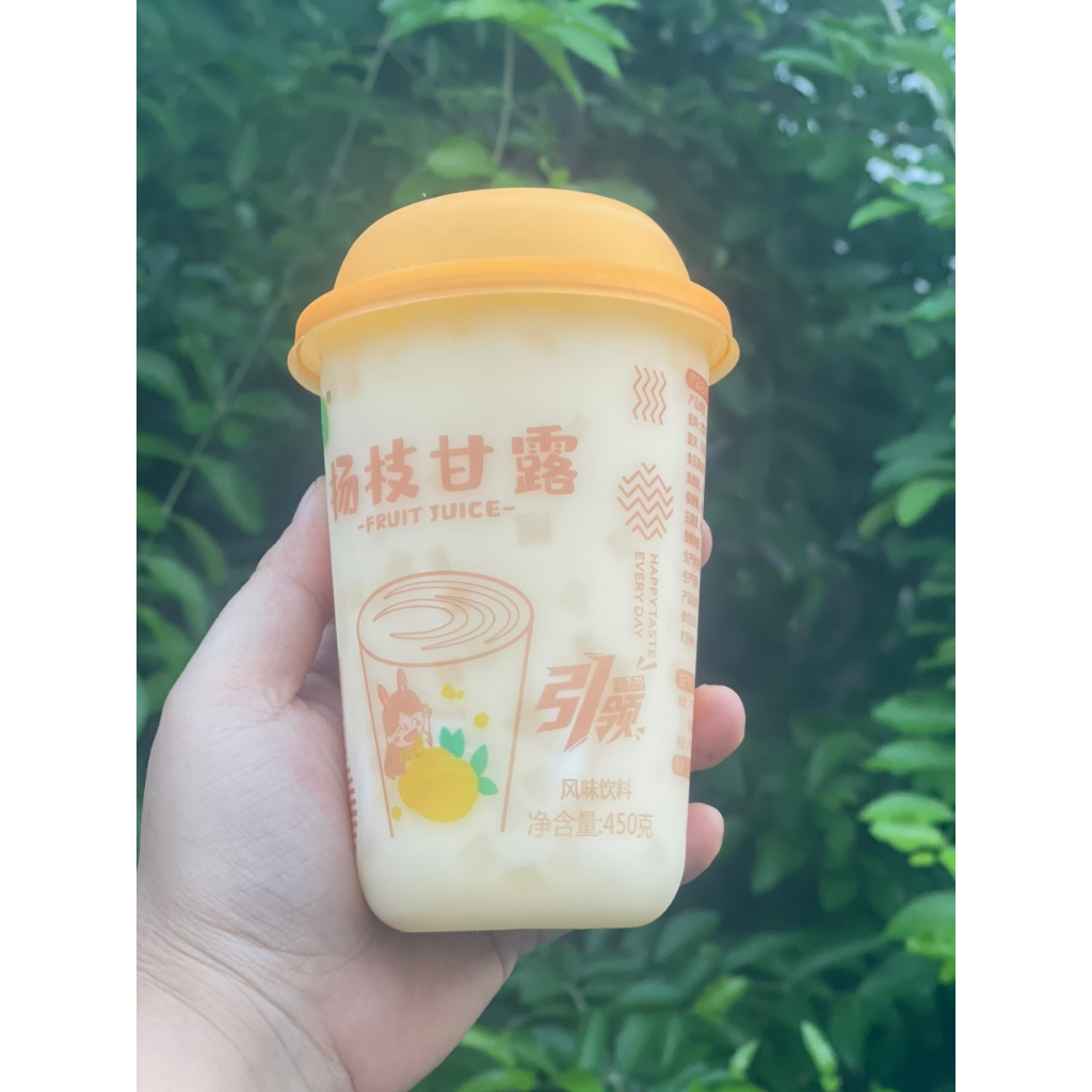 Sữa Lắc Trân Châu Hai Vị Dâu/Xoài HongZi 450ml