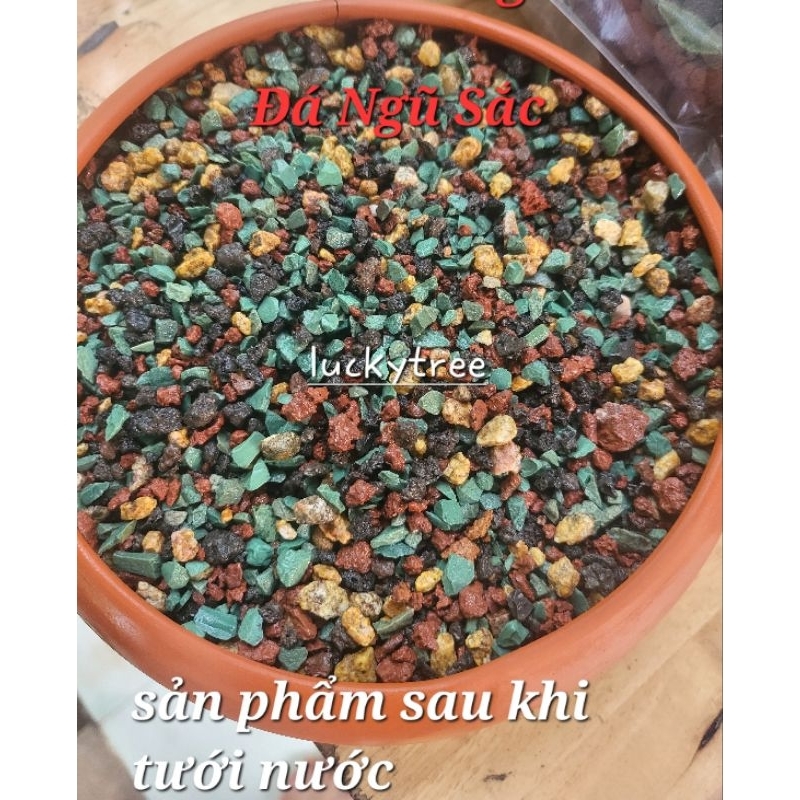 Đá NGŨ SẮC Rải Mặt Chậu  KT 3mm - 6mm