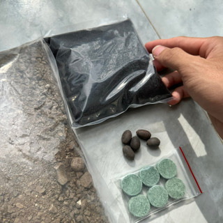 Combo đất bùn trồng sen cảnh [XA03]