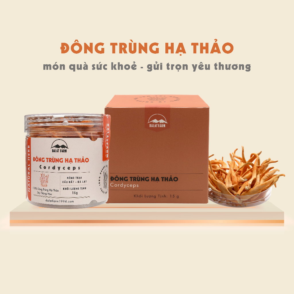 Đông Trùng Hạ Thảo Sấy Thăng Hoa DalatFarm - Hộp 15 g