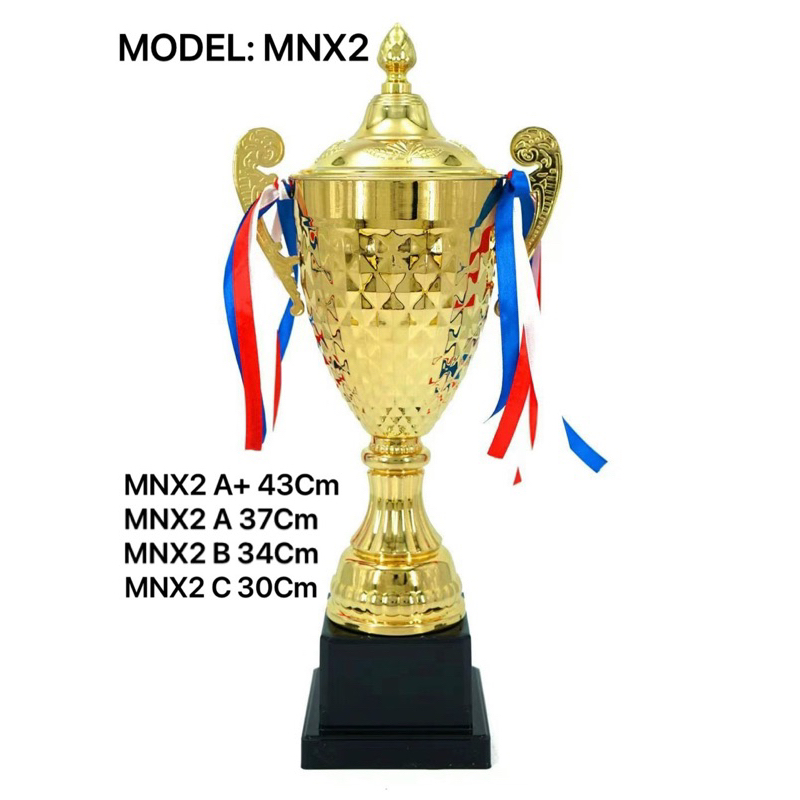 Cúp bóng đá kim loại MNX2