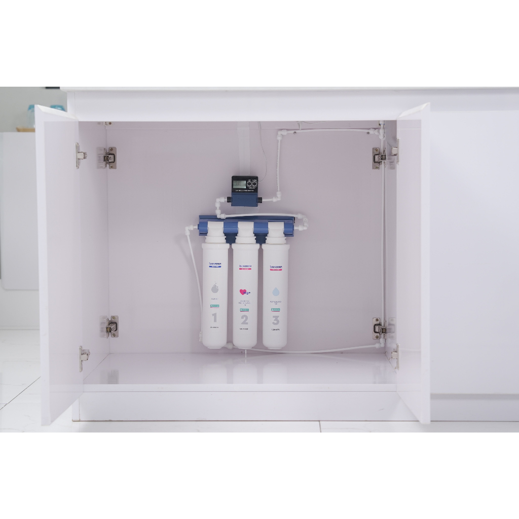 Bộ Đếm Lưu Lượng Nước BWT Barrier Water Meter Chính Hãng