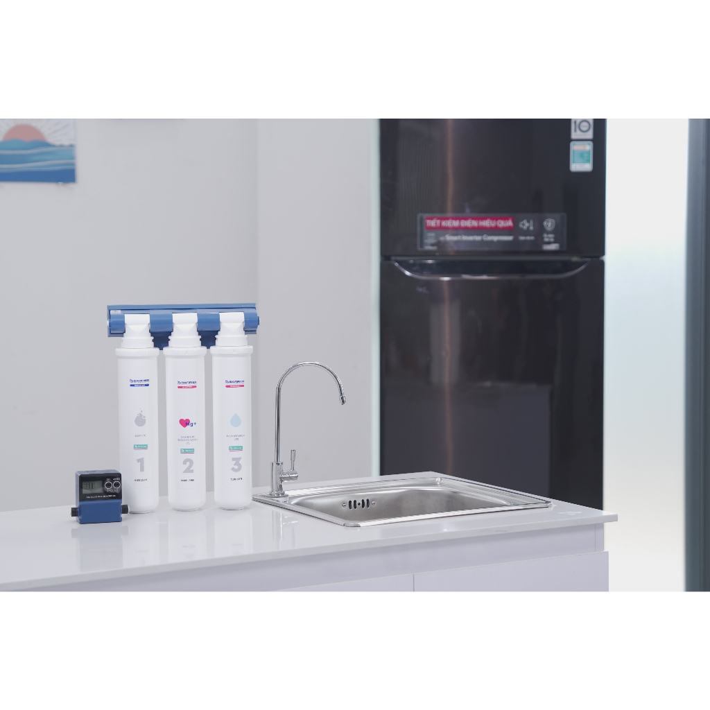 Bộ Đếm Lưu Lượng Nước BWT Barrier Water Meter Chính Hãng