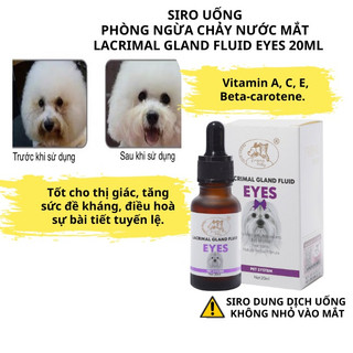  Siro uống giúp dưỡng mắt ngăn ngừa chảy nước mắt hạn chế ố mắt chó mèo Lacrimal gland fluid 