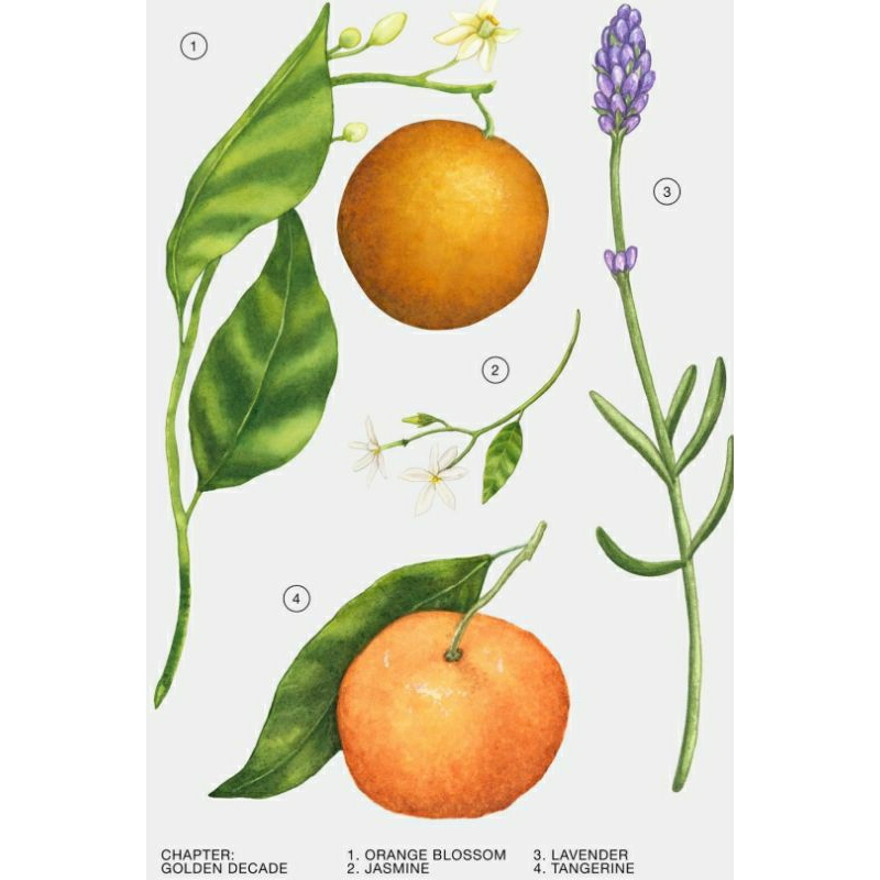 NƯỚC HOA GOLDEN DECADE