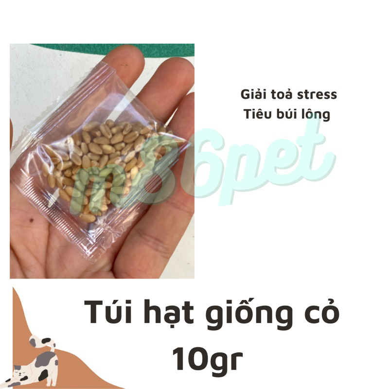 Hạt giống cỏ mèo gói chiết 10gr, đồ cho mèo