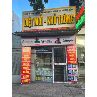 Combo 10 miếng keo dính chuột giấy